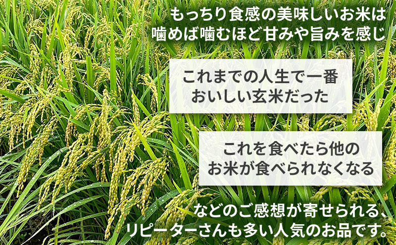 米 コウノトリ舞う田んぼで大自然が育てた"有無ファーム"こだわり米 5分づき 10kg お米 栽培期間中農薬・化学肥料不使用