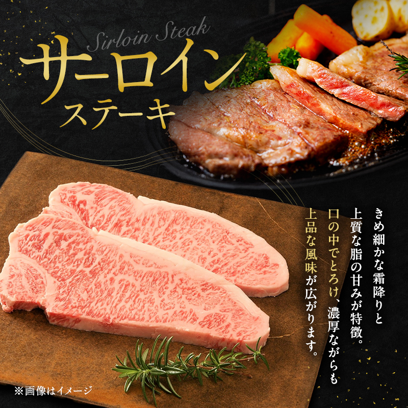 神戸牛 贅沢セットB 計700g ローススライス モモスライス サーロインステーキ ステーキ肉 すき焼き 肉 すきやき しゃぶしゃぶ 肉 牛肉 赤身 和牛 お肉 霜降り 黒毛和牛 冷凍 神戸ビーフ