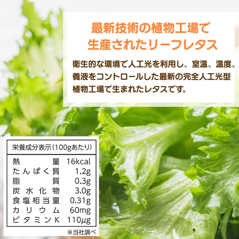 レタス 低カリウムレタス 4個入り カリウム85%カット 洗わず食べられる ビタミンK 植物工場 兵庫県 加西市 リーフレタス 栽培期間中 無農薬