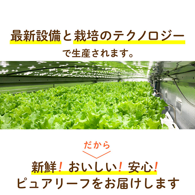 レタス 低カリウムレタス 4個入り カリウム85%カット 洗わず食べられる ビタミンK 植物工場 兵庫県 加西市 リーフレタス 栽培期間中 無農薬