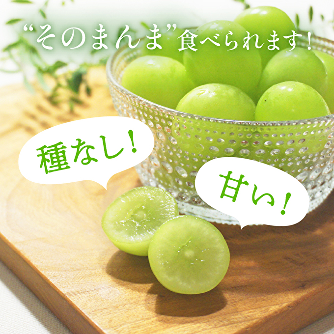 【令和8年産】シャインマスカット 2房 セット 約1.2～1.5kg ぶどう 葡萄 ブドウ マスカット 種なし 高級ぶどう フルーツ 果物 くだもの 季節のフルーツ 旬のフルーツ