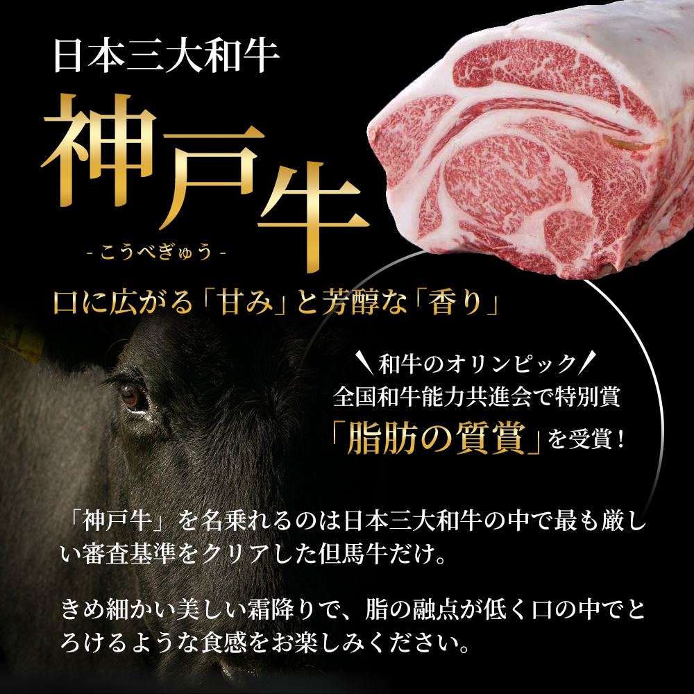 神戸牛 ヒレ肉 1本（約2.5kg） キャンプ BBQ アウトドア ホームパーティー ローストビーフ 神戸ビーフ お肉 牛肉