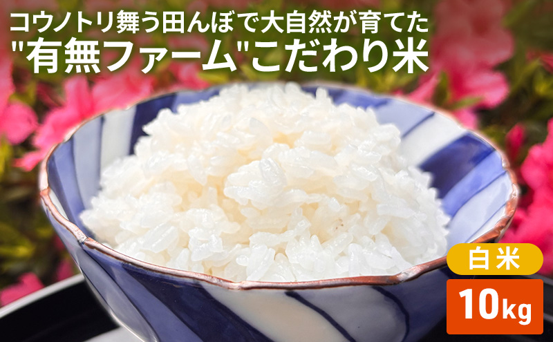 米 コウノトリ舞う田んぼで大自然が育てた"有無ファーム"こだわり米 白米 10kg 精米 お米 栽培期間中農薬・化学肥料不使用
