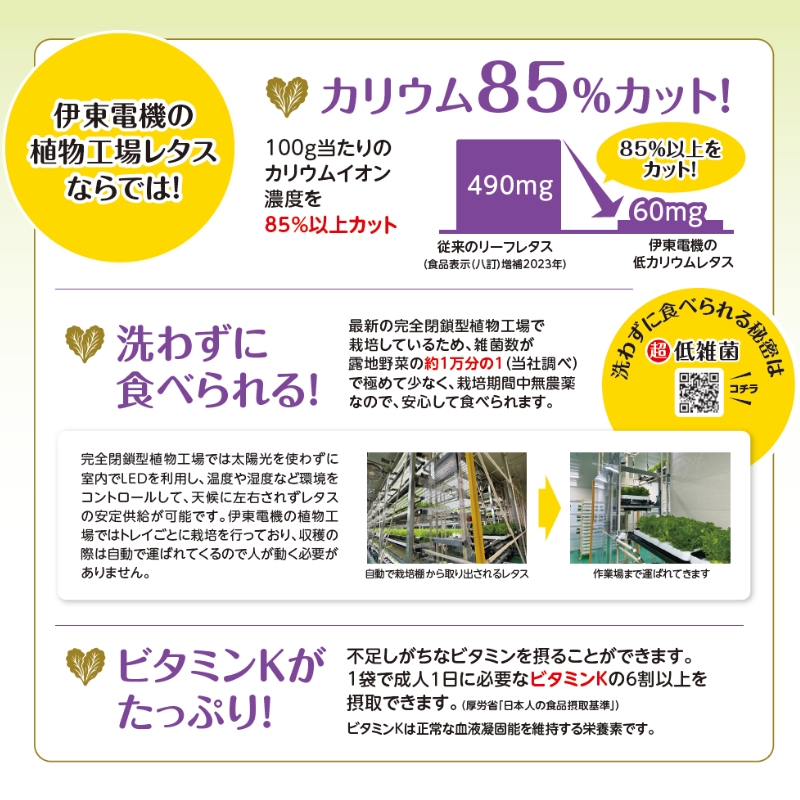 レタス 低カリウムレタス 4個入り カリウム85%カット 洗わず食べられる ビタミンK 植物工場 兵庫県 加西市 リーフレタス 栽培期間中 無農薬