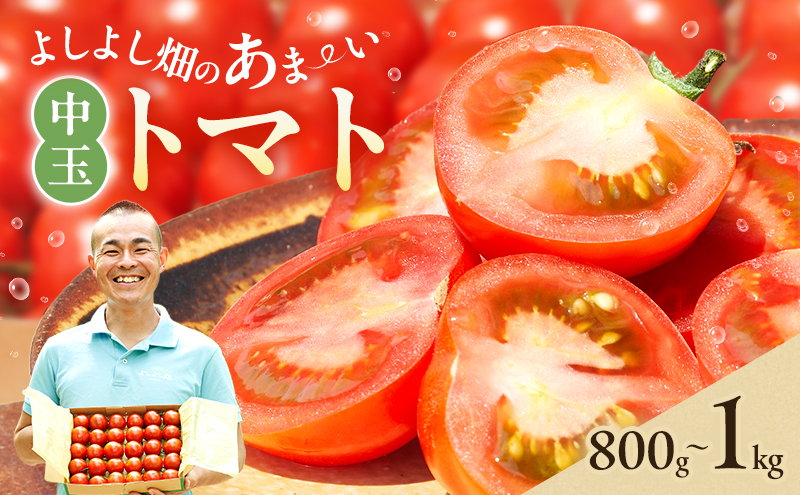 トマト 中玉 800g～1kg よしよし畑のあま～いトマト とまと 季節の野菜 旬の野菜 新鮮 農家直送 夏野菜 野菜