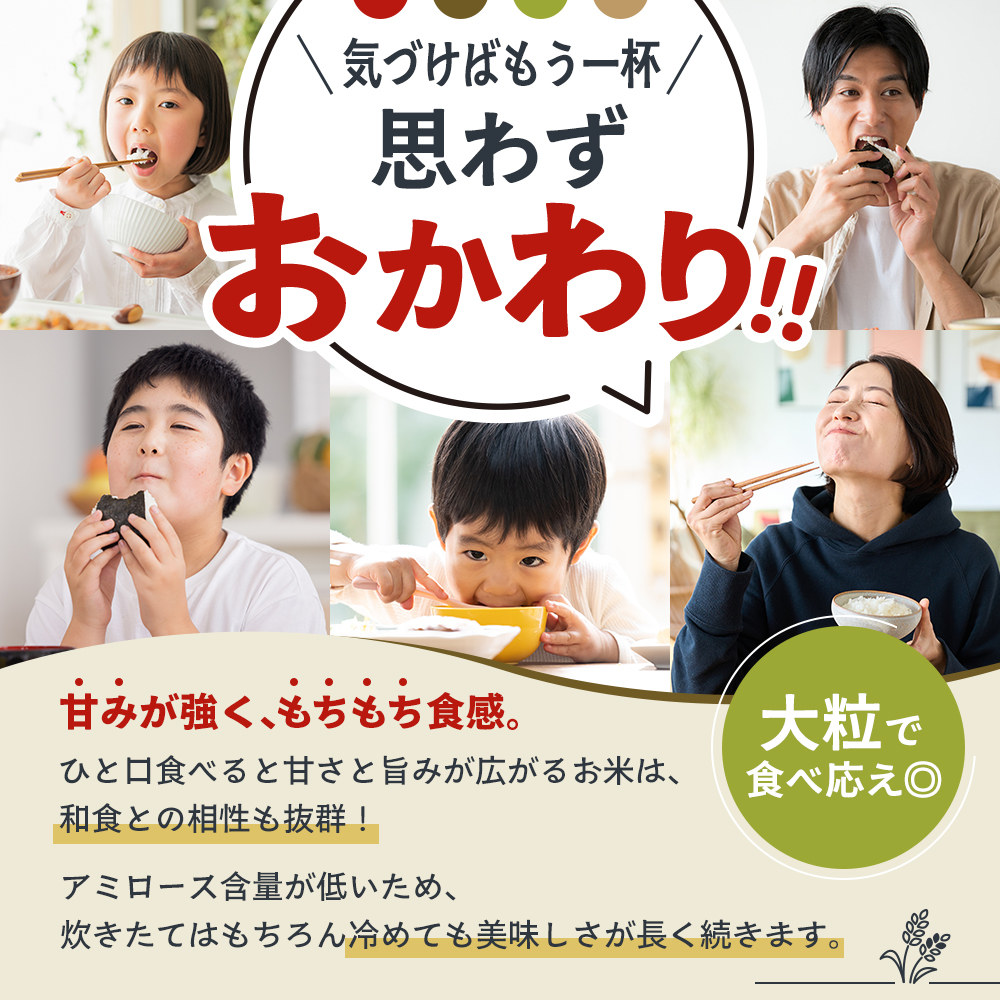 定期便 米 令和8年産 先行受付 しきゆたか 白米 5kg 3か月連続お届け お米 精米 単一原料米 お弁当 おにぎり 冷めても美味しい 農業支援 就労者支援 日用品