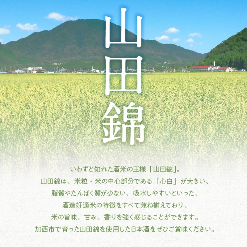 加西市のテロワール 日本酒 とうもろこし ペアリング セット 兵庫県 加西市 万願寺川 HATTA 720ml 1本 ＆ よしよし畑 とうもろこし 5本 コタニ酒店 セレクト