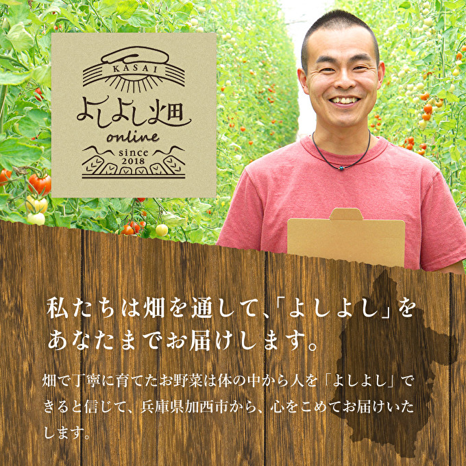とうもろこし 朝どり 10本 4kg 前後 兵庫県産 よしよし畑 農家直送 朝どれ 野菜 新鮮 高糖度 キャンプ BBQ アウトドア 極甘 甘い 絶品 朝 採り 夏野菜 あまい 冷蔵配送