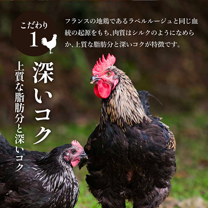 鶏肉 キーマカレー 地鶏丹波黒どりと丹波黒大豆のキーマカリー 6食 セット 最短4日以内発送 詰め合わせ レトルトカレー レトルト食品 レトルト レトルトパウチ 常温保存 防災 防災食 非常食 カレー