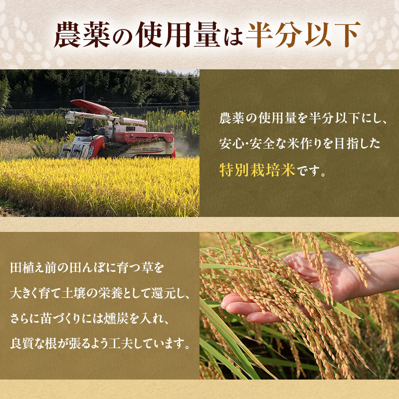 令和7年産 特別栽培米 にこまる 白米 5kg (5kg×2袋)精米 お米 こめ コメ ごはん ご飯 単一原料米