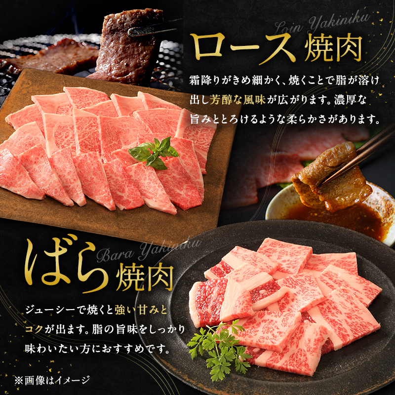 神戸牛 贅沢セットC 計850g 焼肉用ロース バラ モモステーキ ステーキ肉 ステーキ 焼き肉 ロース 焼肉 セット 牛肉 和牛 お肉 黒毛和牛 冷凍 神戸ビーフ