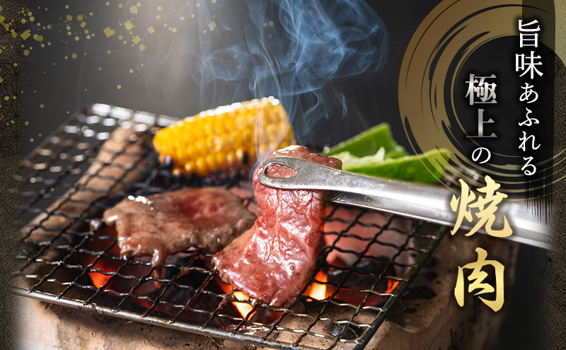 神戸牛 福袋 焼肉 食べ比べ 3種 計600g 肩 モモ バラ 焼肉セット 詰め合わせ 焼き肉 牛肉 和牛 焼肉用 キャンプ BBQ アウトドア バーベキュー 黒毛和牛 お肉 冷凍 おすすめ 神戸ビーフ