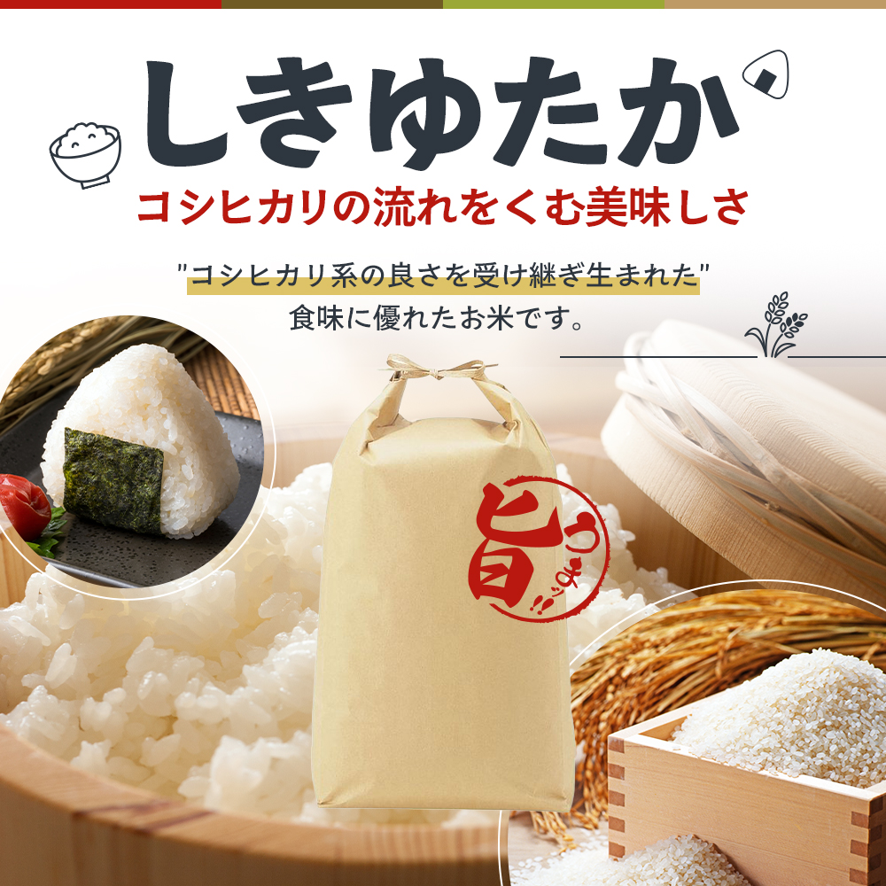 定期便 米 令和8年産 先行受付 しきゆたか 白米 5kg 6か月連続お届け お米 精米 単一原料米 お弁当 おにぎり 冷めても美味しい 農業支援 就労者支援 日用品