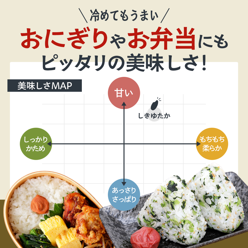 定期便 米 令和8年産 先行受付 しきゆたか 白米 5kg 3か月連続お届け お米 精米 単一原料米 お弁当 おにぎり 冷めても美味しい 農業支援 就労者支援 日用品