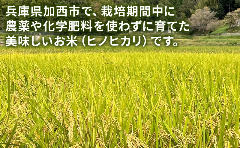 米 コウノトリ舞う田んぼで大自然が育てた"有無ファーム"こだわり米 5分づき 5kg お米 栽培期間中農薬・化学肥料不使用