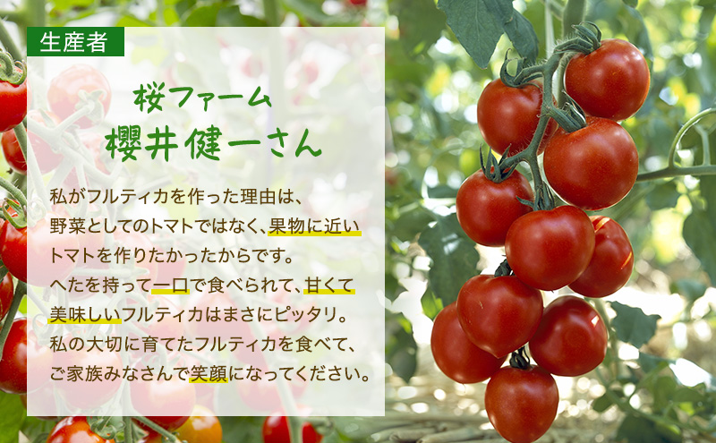 トマト 桜ファーム の 中玉トマト フルティカ 1.5kg とまと おいしい 箱入り ボックス 安心安全 農家直送 樹上完熟 ジュース ピューレ ソース ペースト 野菜