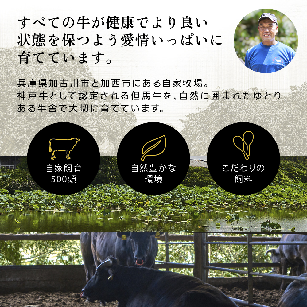 神戸牛 ロースステーキ 1枚 200g 詰め合わせ A4ランク A5ランク 牛肉 牛 お肉 肉 ブランド牛 和牛 神戸ビーフ 但馬牛 ロース ステーキ ステーキ肉 国産 冷凍
