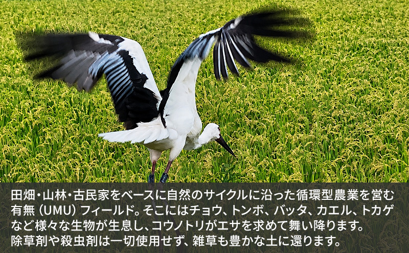 米 コウノトリ舞う田んぼで大自然が育てた"有無ファーム"こだわり米 5分づき 10kg お米 栽培期間中農薬・化学肥料不使用