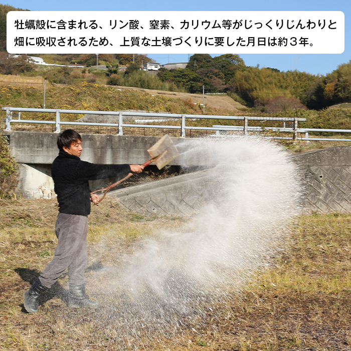 淡路島産玉ねぎオイスターラブ 10kg箱　玉ねぎ
