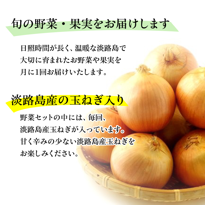 淡路島の新鮮野菜セット【平日お届け】　野菜