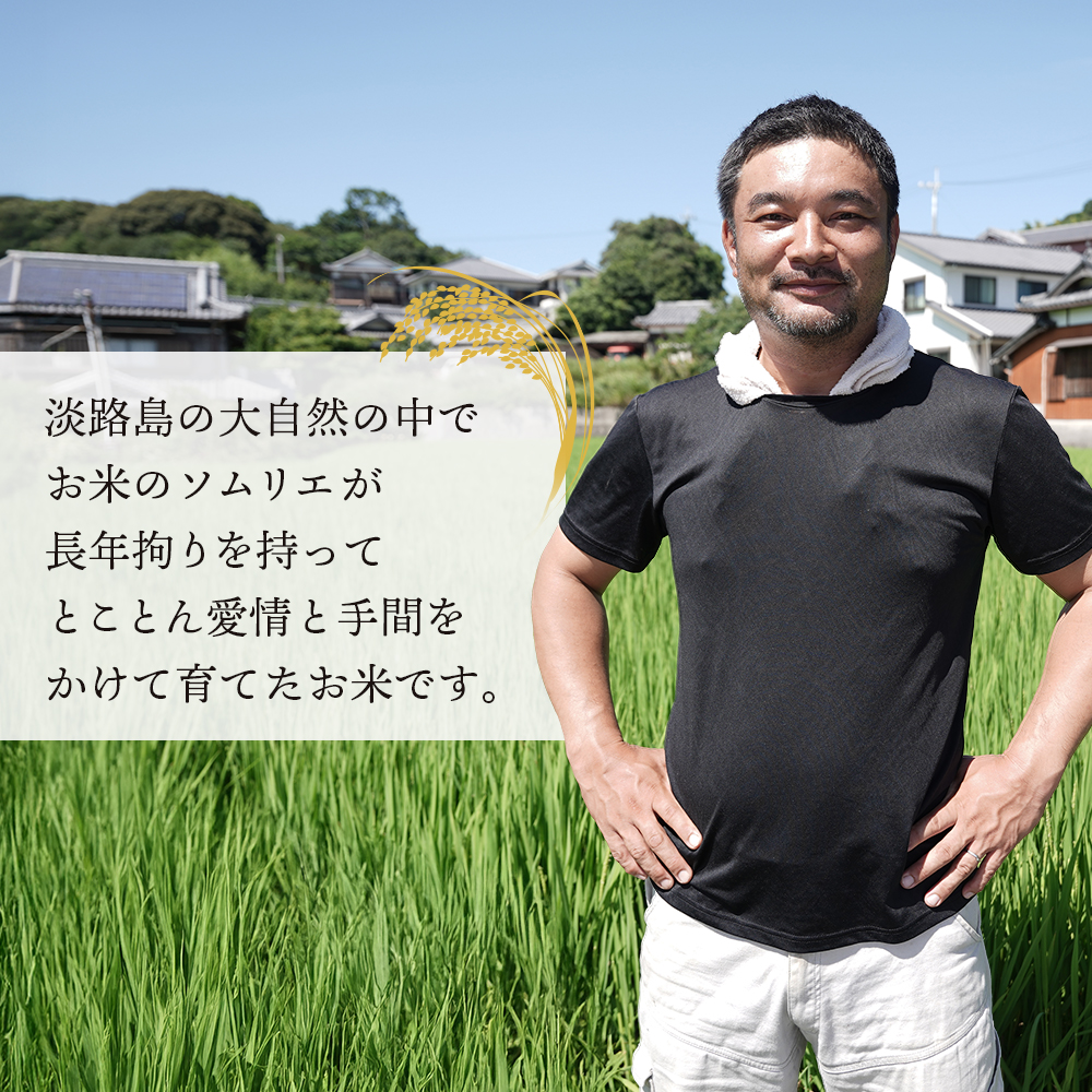 【定期便】野添農園のキヌヒカリ 5kgｘ12ヶ月 白米