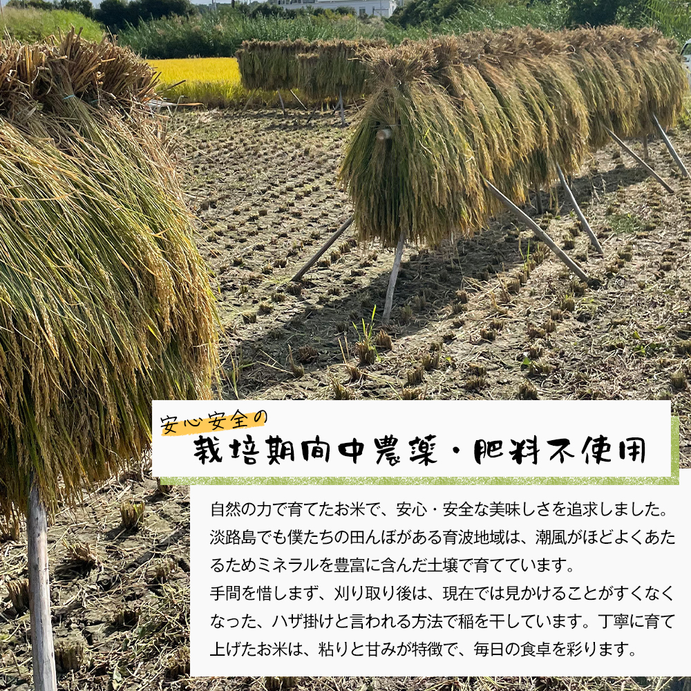 自然栽培　コシヒカリ（白米）　5kg