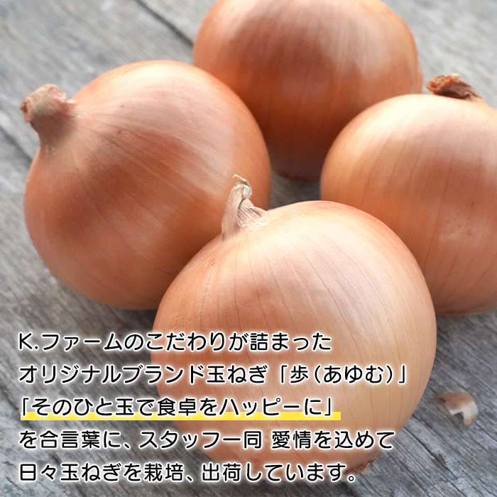 【定期便12ヶ月】淡路島たまねぎ 歩-AYUMU- 10kg　玉ねぎ
