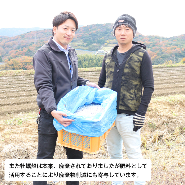 淡路島産玉ねぎオイスターラブ 10kg箱　玉ねぎ