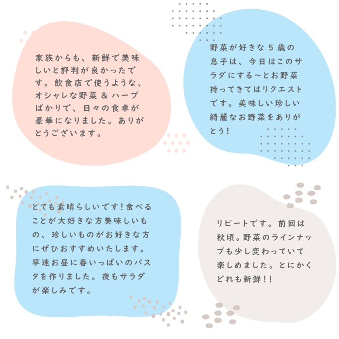 【定期便】彩り野菜と香るハーブセット 12回お届け　野菜