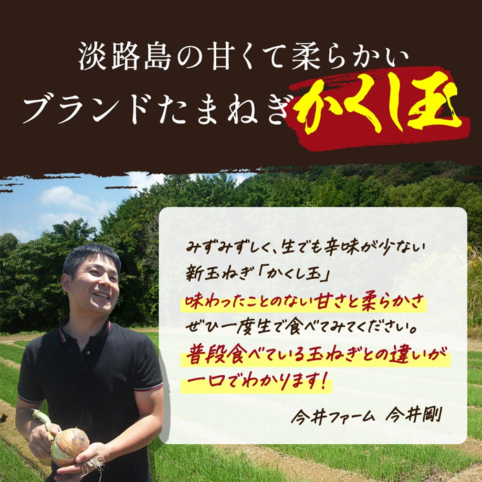 今井ファームの淡路島たまねぎ「かくし玉」 5kg　玉ねぎ
