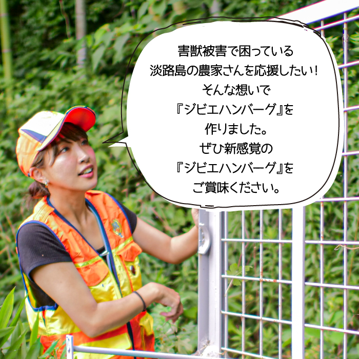 【ジビエハンバーグ】淡路島産シカハンバーグ24個セット