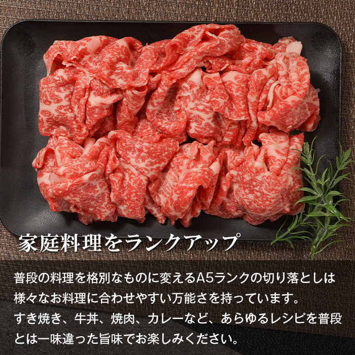 【定期便3ヶ月】A5ランク 淡路島産黒毛和牛 切り落とし 500g 神戸牛