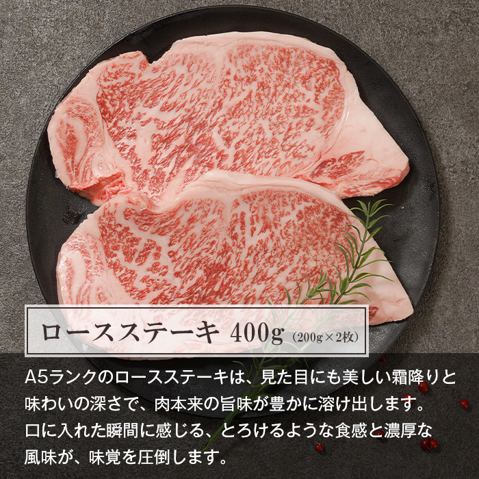 【定期便12ヶ月】A5ランク限定 淡路島産黒毛和牛 贅沢定期便 神戸牛