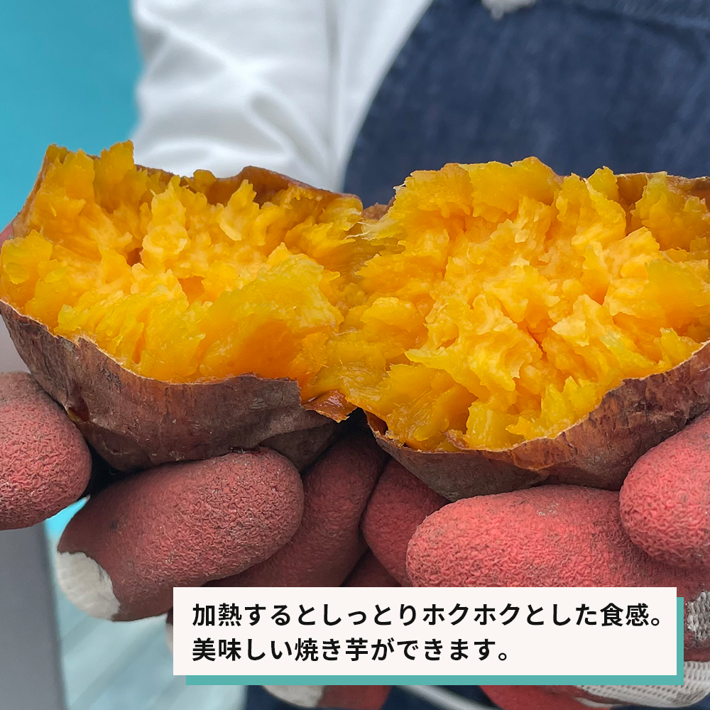 【産地直送】安納芋（淡路島産）土付き　約5kg　不揃い【栽培期間中、農薬・化学肥料不使用】さつまいも