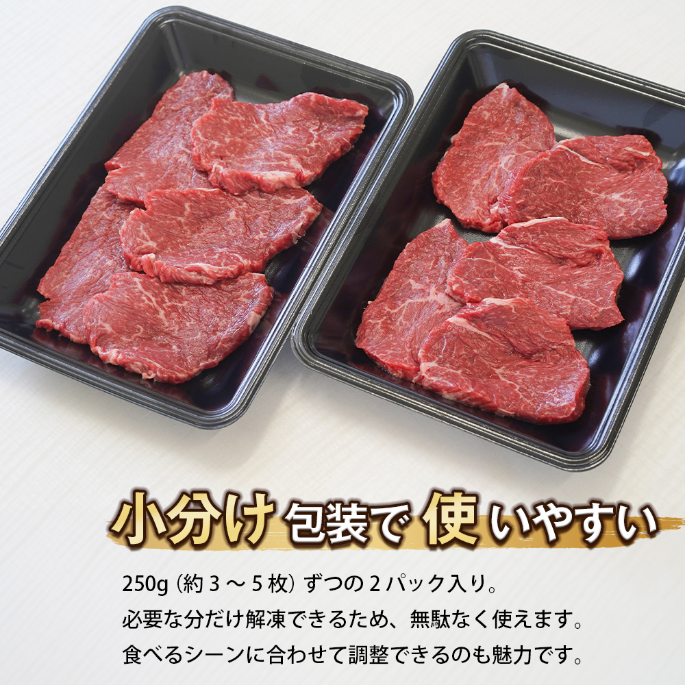 淡路牛 赤身ミニステーキ　500g  ステーキ