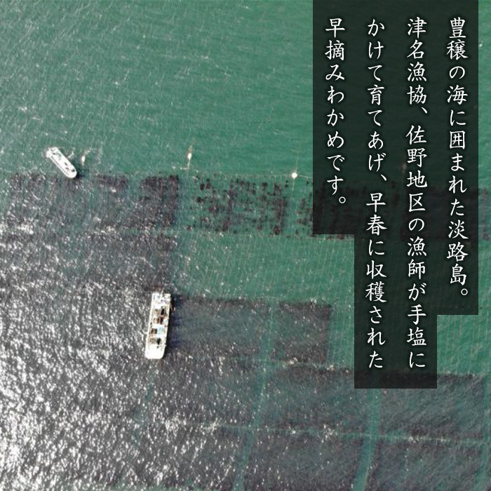淡路島産 若芽わかめ 300ｇ×3袋【早摘みわかめ】