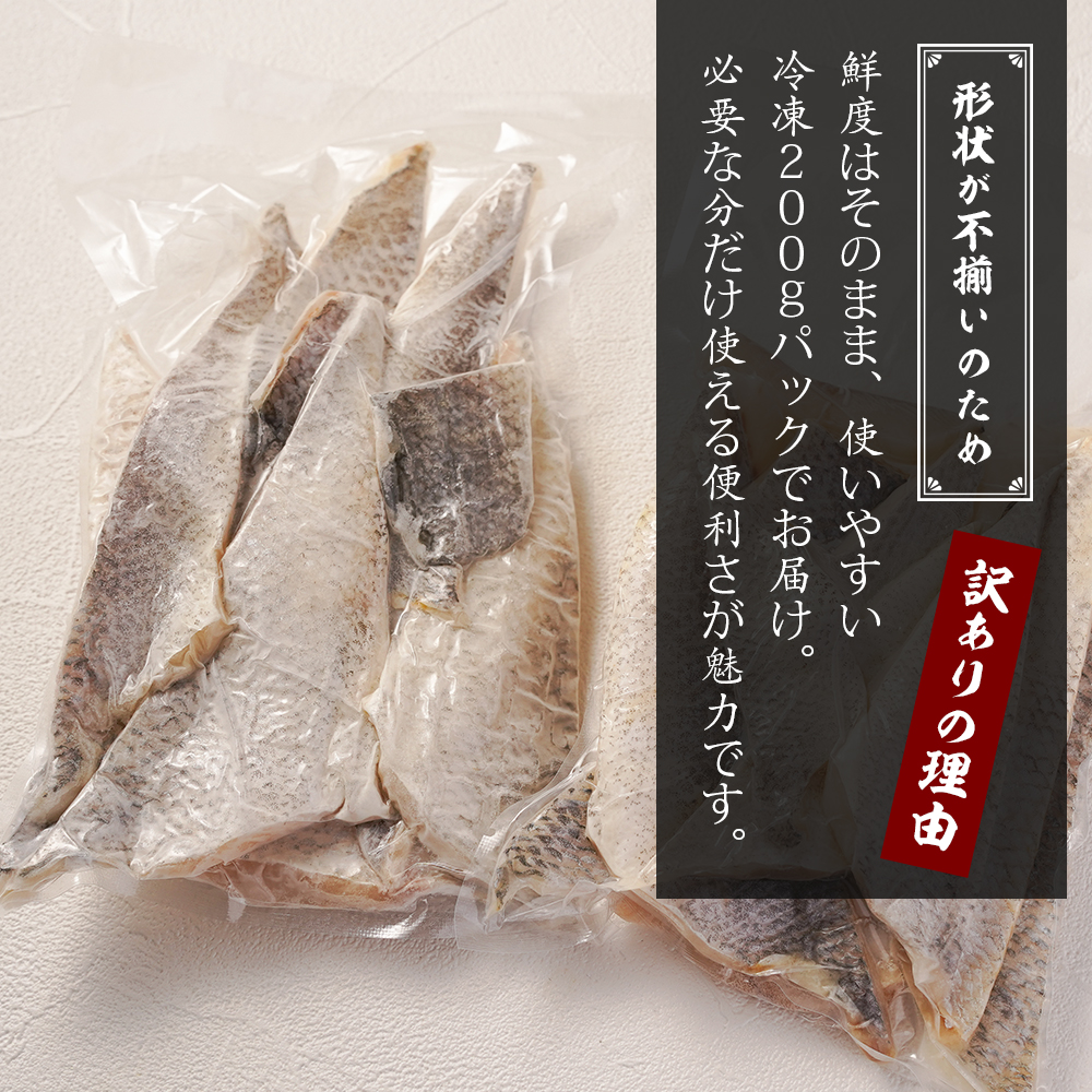 【訳アリ】淡路島産 スズキ切り落とし 1.2kg（200g×6パック）