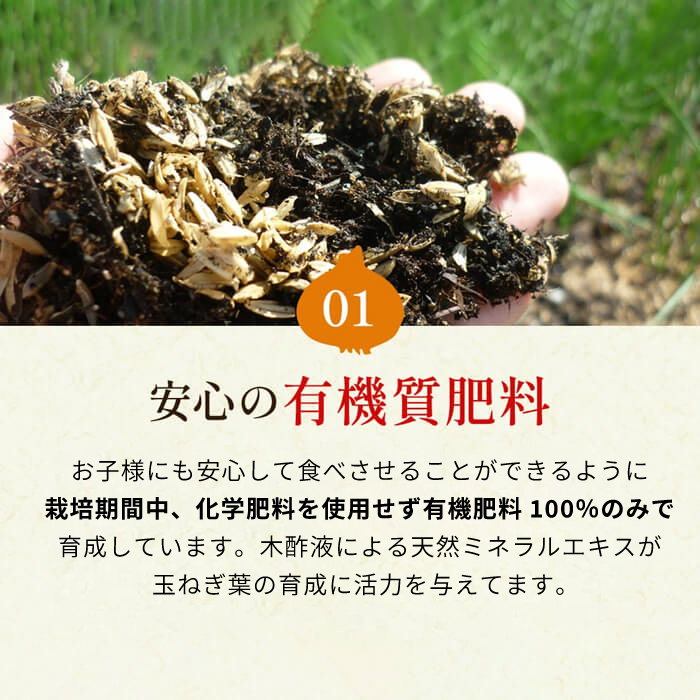 今井ファームの淡路島たまねぎ「かくし玉」20kg　玉ねぎ