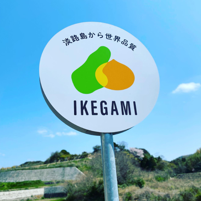 【定期便】淡路島 池上農場の完熟玉ねぎ「あやたけ」10kg　12ヶ月コース　玉ねぎ