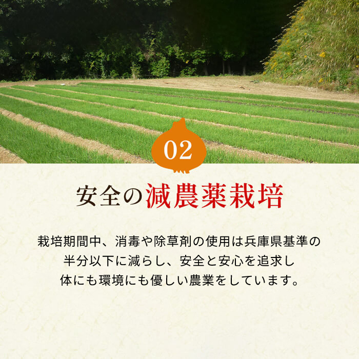 今井ファームの淡路島たまねぎ「かくし玉」 5kg　玉ねぎ