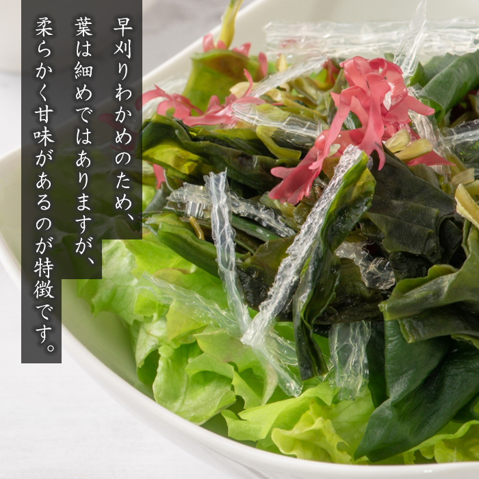 淡路島産 塩蔵わかめ 120g×6袋　わかめ