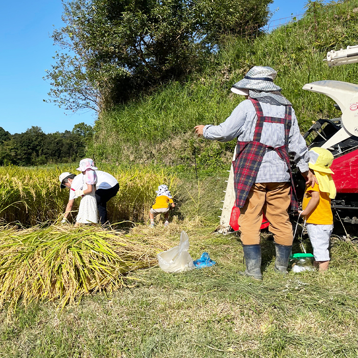 淡路島の棚田米 ５kg　白米