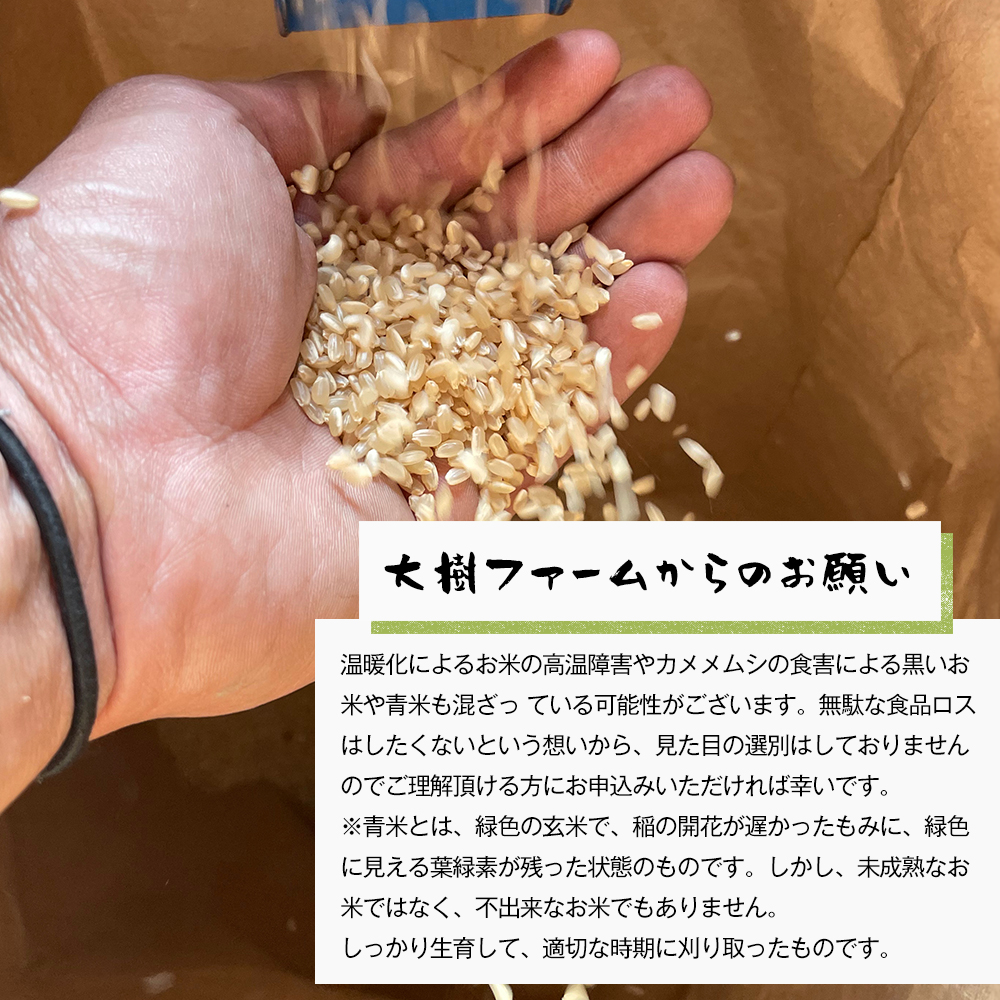 自然栽培　ひのひかり（白米）　5kg