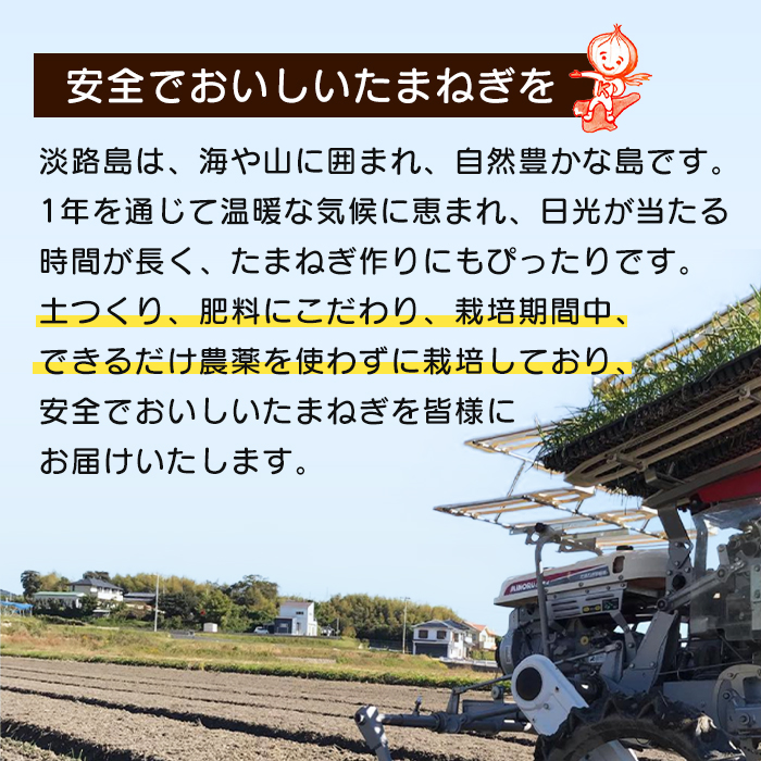 【定期便12ヶ月】淡路島たまねぎ 歩-AYUMU- 10kg　玉ねぎ
