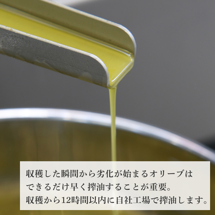 6本セット！「Virgin Valley 淡路阿利布」91ｇ（エキストラバージンオリーブオイル）【2025年度産】