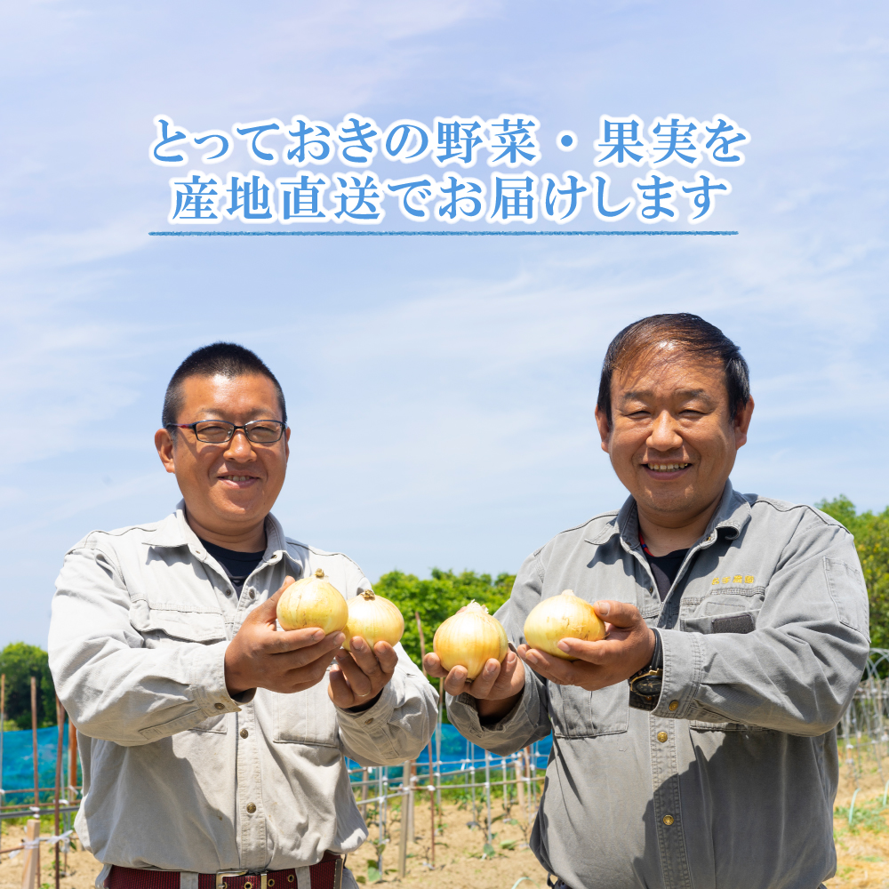 名手農園の淡路島特産玉ねぎ 5kg　玉ねぎ