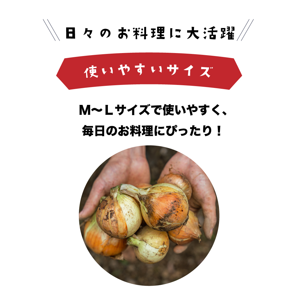 健幸農園の完熟淡路島産玉ねぎ 5kg　玉ねぎ