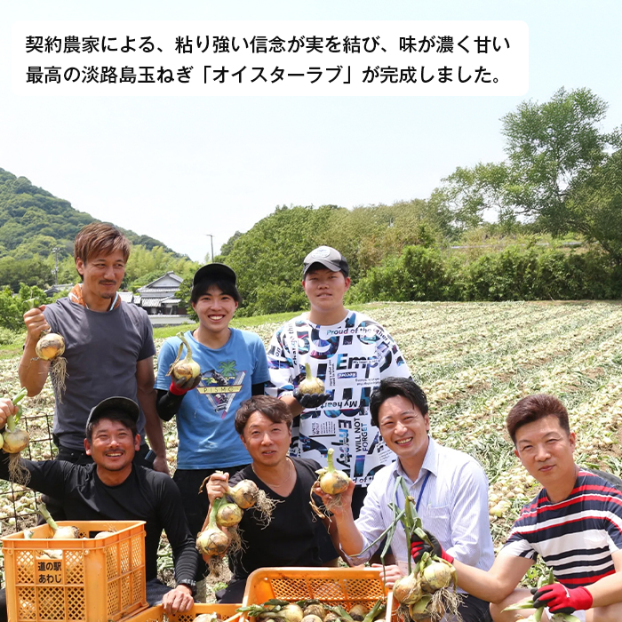 淡路島産玉ねぎオイスターラブ 10kg箱　玉ねぎ
