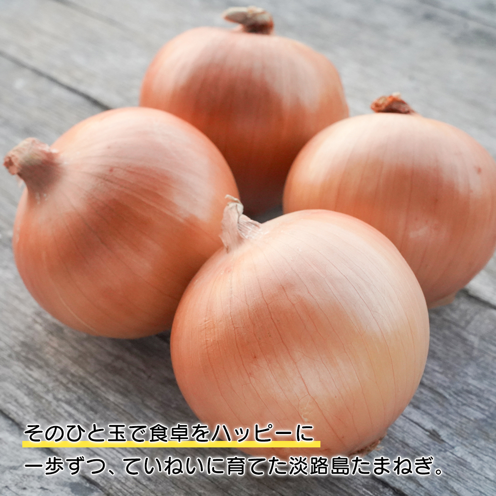 【玉ねぎ定期便12ヶ月】淡路島たまねぎ 歩-AYUMU- 2kg　玉ねぎ