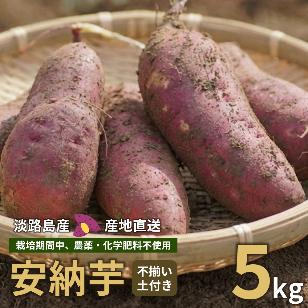 【産地直送】安納芋（淡路島産）土付き　約5kg　不揃い【栽培期間中、農薬・化学肥料不使用】さつまいも